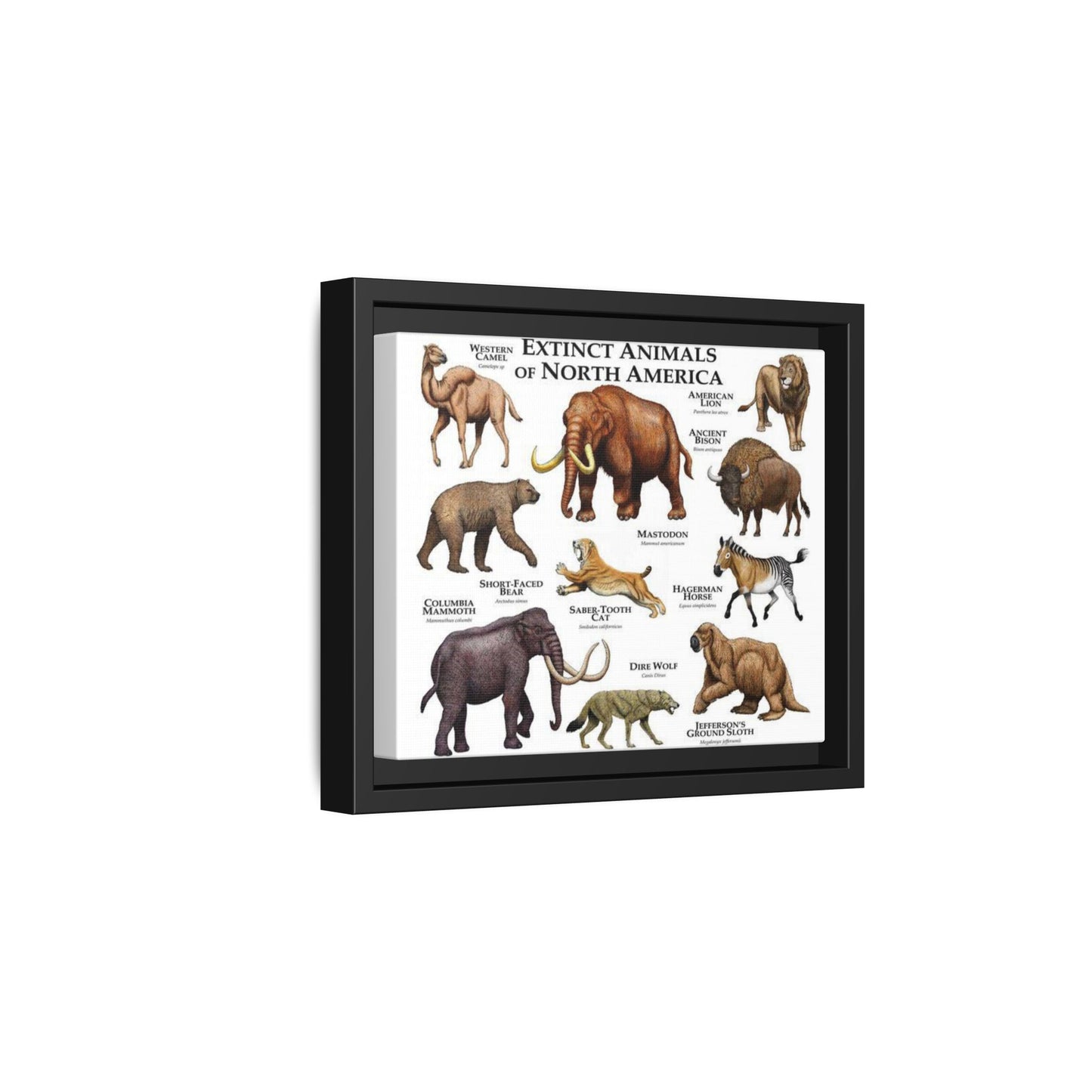 Extinct Animals Of North America Guide, Extinct North American Animals Identification Vertical Poster