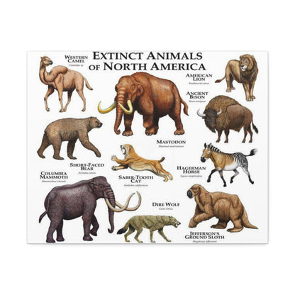 Extinct Animals Of North America Guide, Extinct North American Animals Identification Vertical Poster
