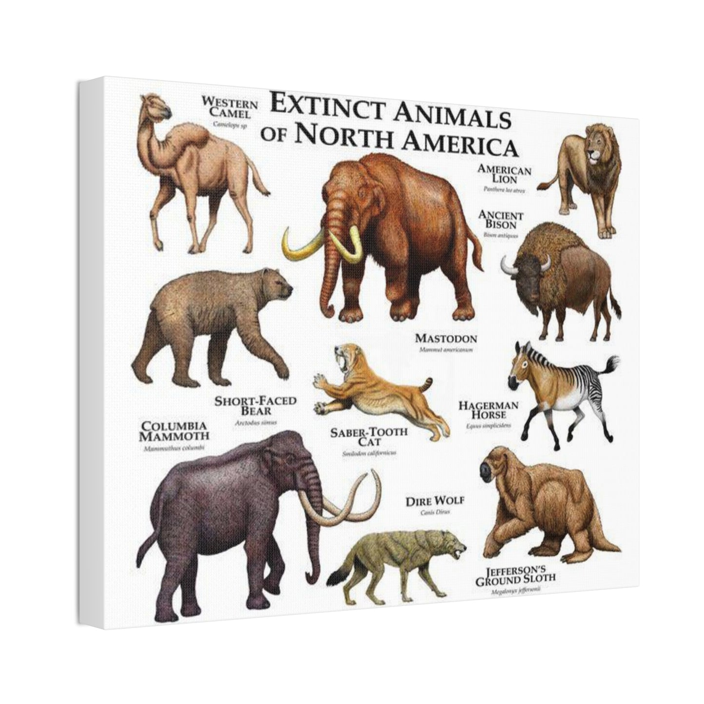 Extinct Animals Of North America Guide, Extinct North American Animals Identification Vertical Poster