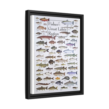Fishes Of The Great Lakes Poster, Fish Species Identification Guide Vertical Poster