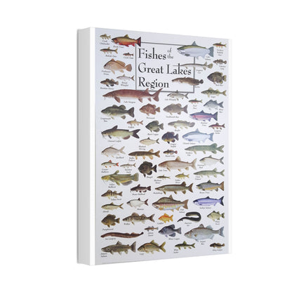 Fishes Of The Great Lakes Poster, Fish Species Identification Guide Vertical Poster