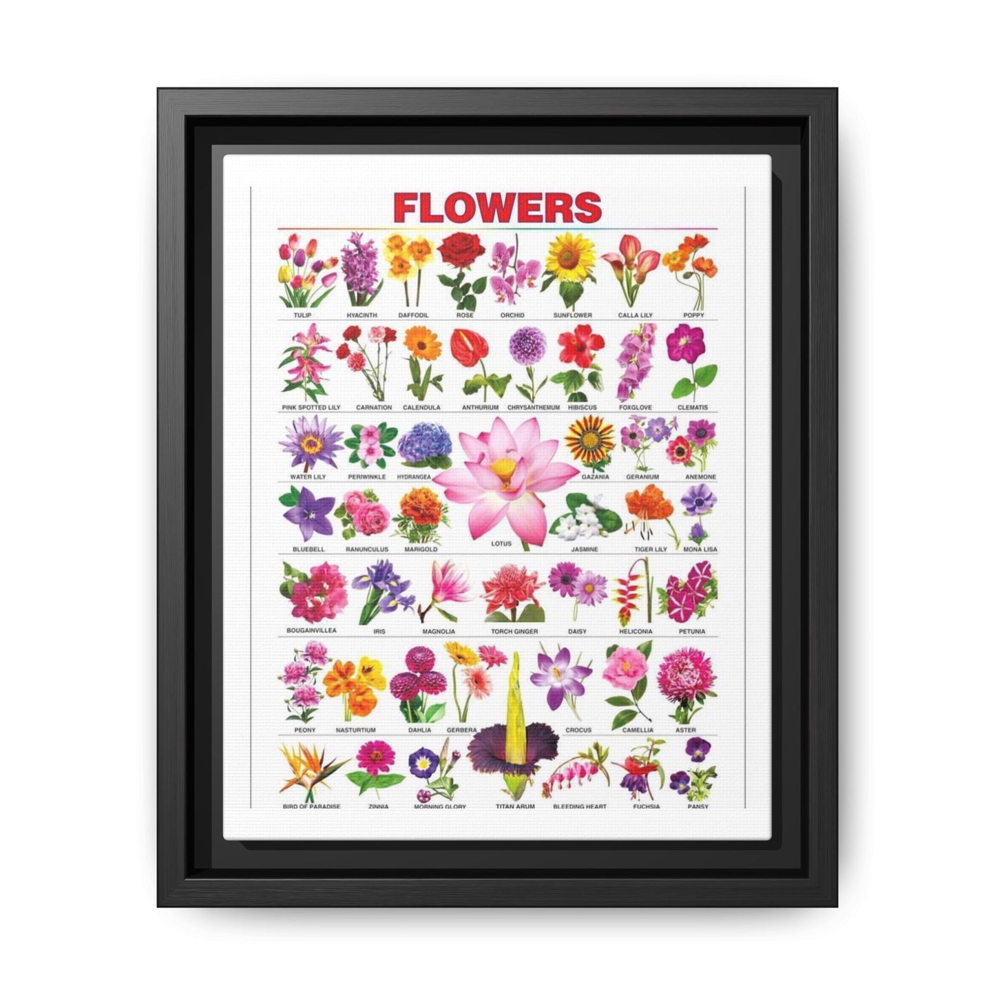 Flowers Identification Guide Vertical Poster