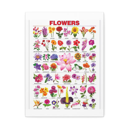 Flowers Identification Guide Vertical Poster