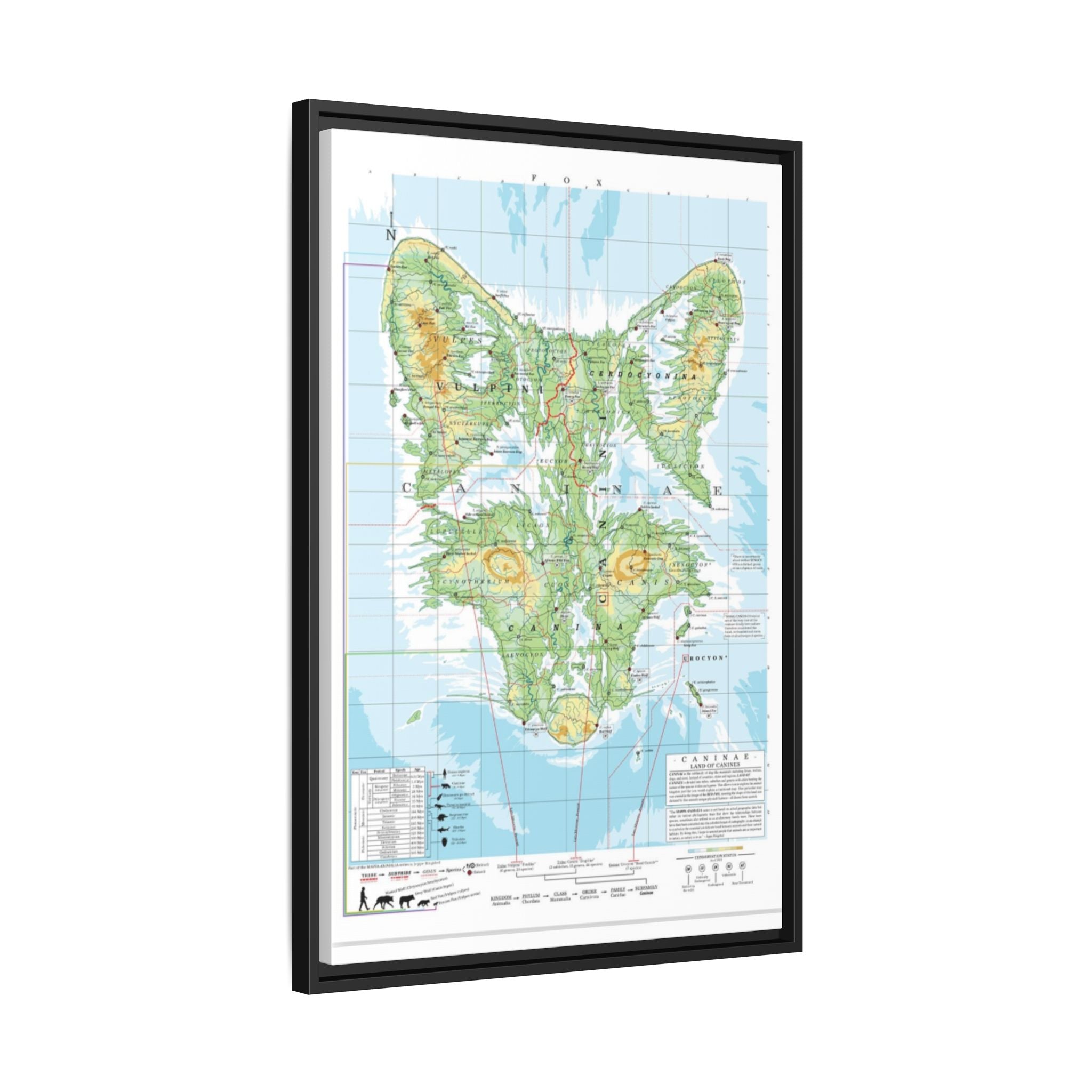 Fox Family Tree Map Poster, Canidae Evolution Chart Print, Fox Species Identification Wall Art, Wildlife Gift