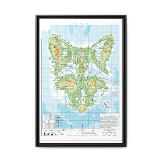 Fox Family Tree Map Poster, Canidae Evolution Chart Print, Fox Species Identification Wall Art, Wildlife Gift