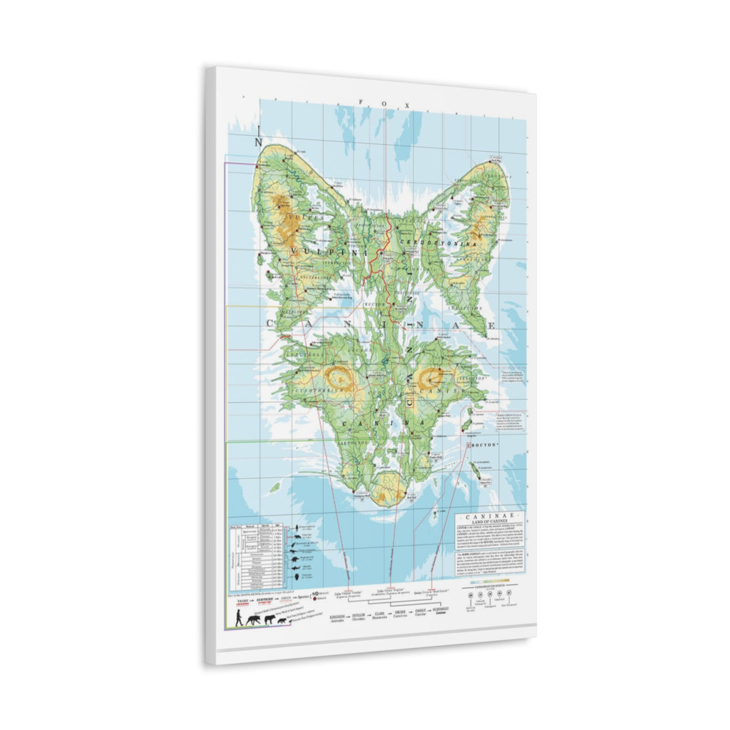 Fox Family Tree Map Poster, Canidae Evolution Chart Print, Fox Species Identification Wall Art, Wildlife Gift