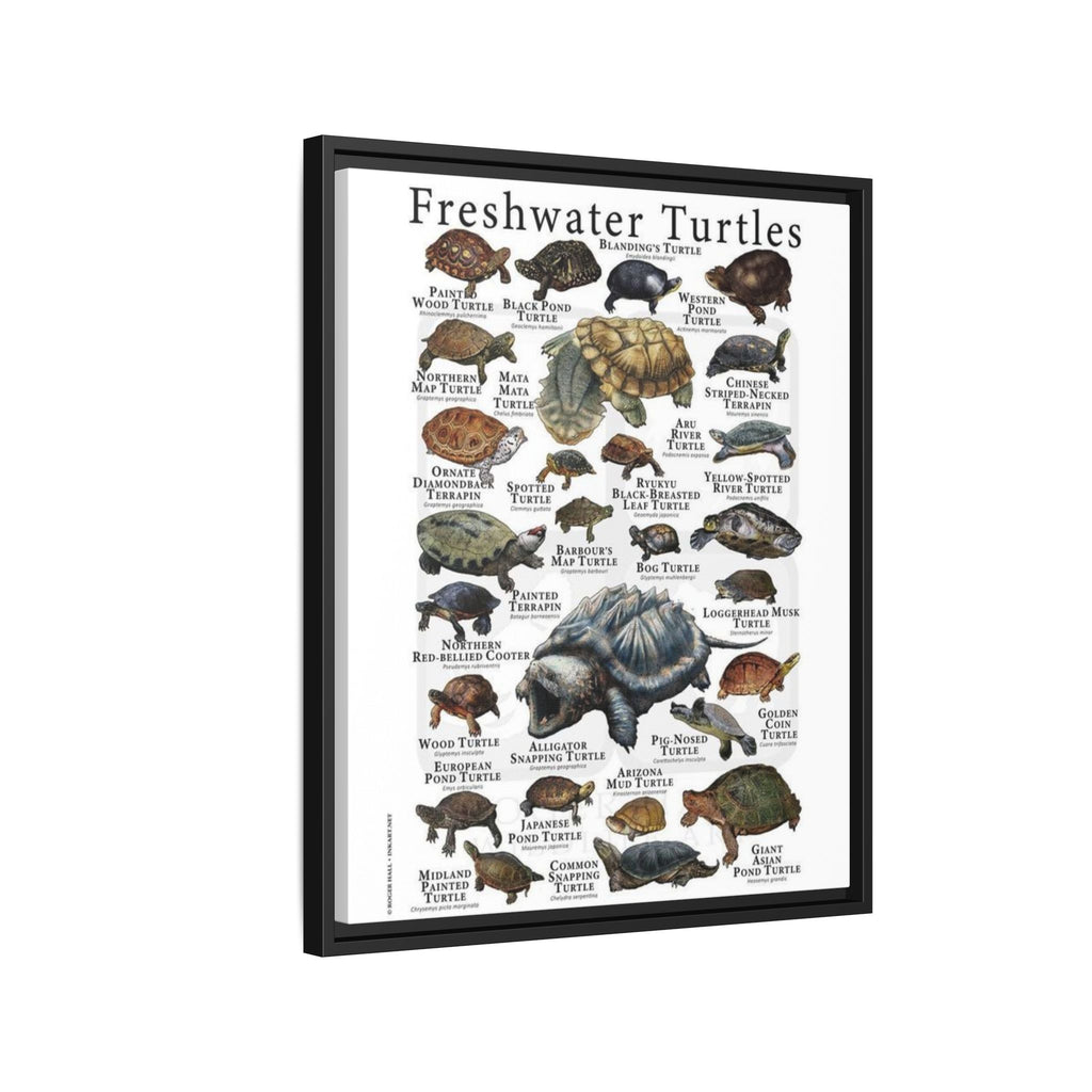 Freshwater Turtles Vertical Poster and Canvas