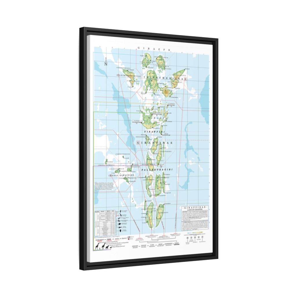 Giraffe Family Tree Map Poster, Giraffidae Evolution Chart Print, Giraffe Species Identification Wall Art, Wildlife Gift