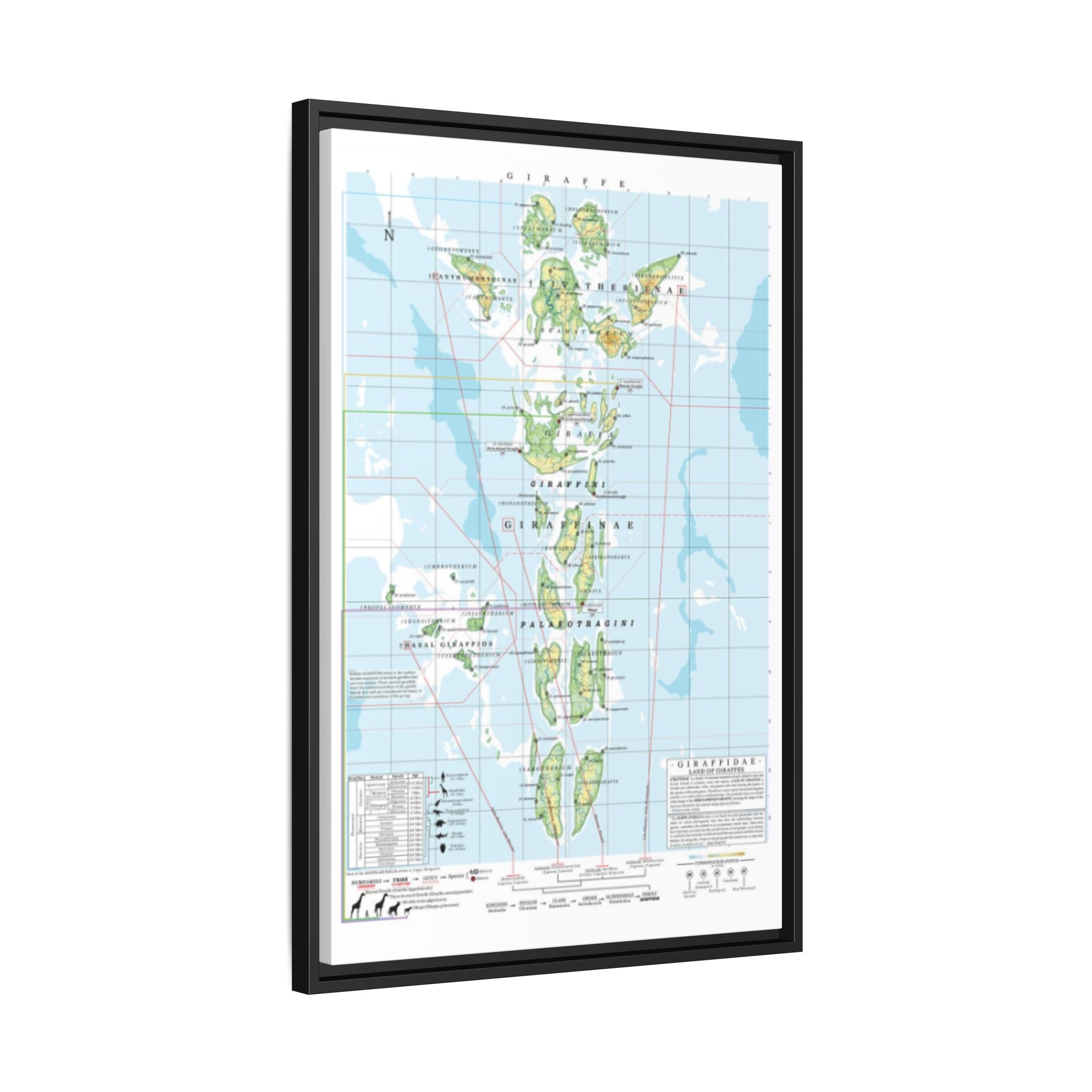 Giraffe Family Tree Map Poster, Giraffidae Evolution Chart Print, Giraffe Species Identification Wall Art, Wildlife Gift