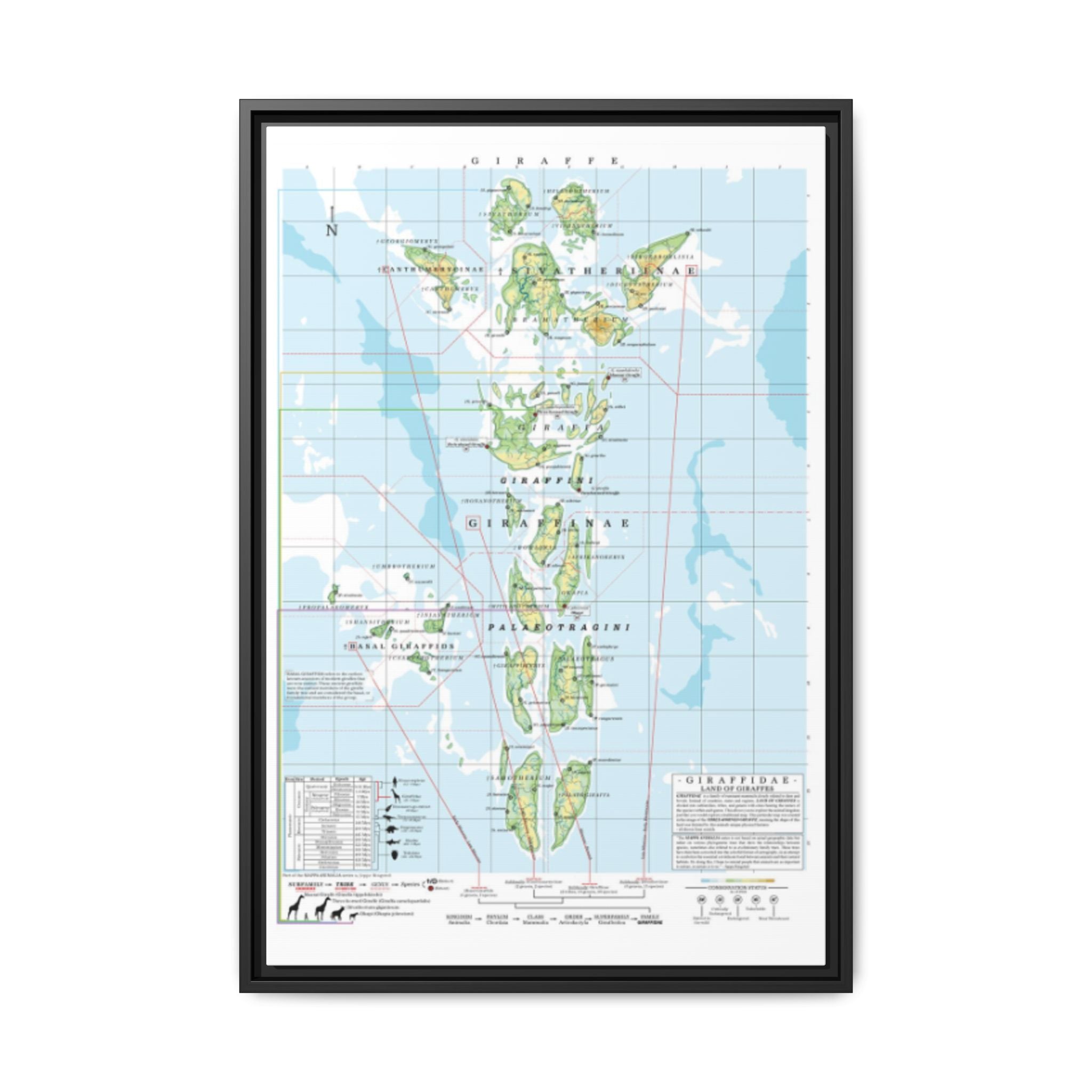 Giraffe Family Tree Map Poster, Giraffidae Evolution Chart Print, Giraffe Species Identification Wall Art, Wildlife Gift