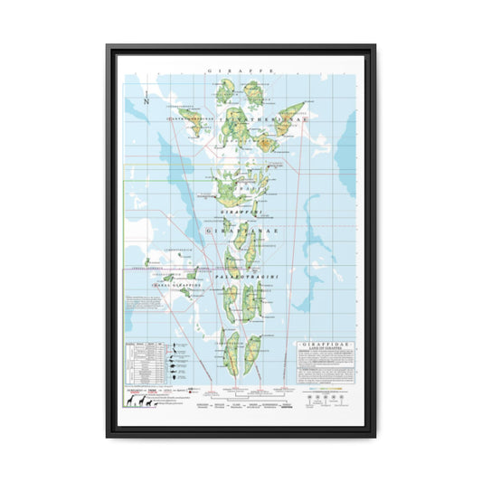 Giraffe Family Tree Map Poster, Giraffidae Evolution Chart Print, Giraffe Species Identification Wall Art, Wildlife Gift