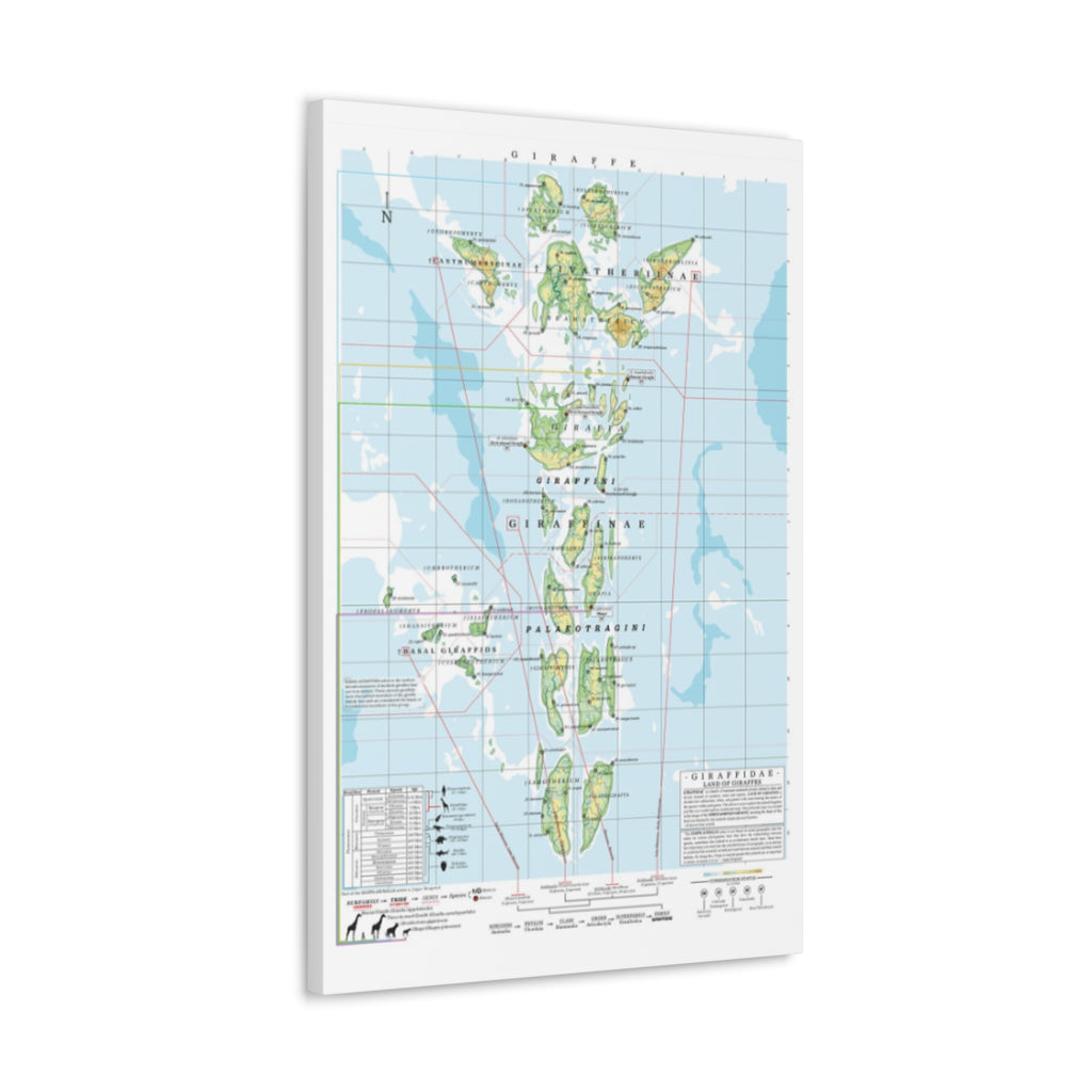 Giraffe Family Tree Map Poster, Giraffidae Evolution Chart Print, Giraffe Species Identification Wall Art, Wildlife Gift