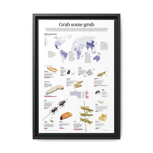 Grab Some Grub Poster, Edible Insects And Insect Food Guide Vertical Poster