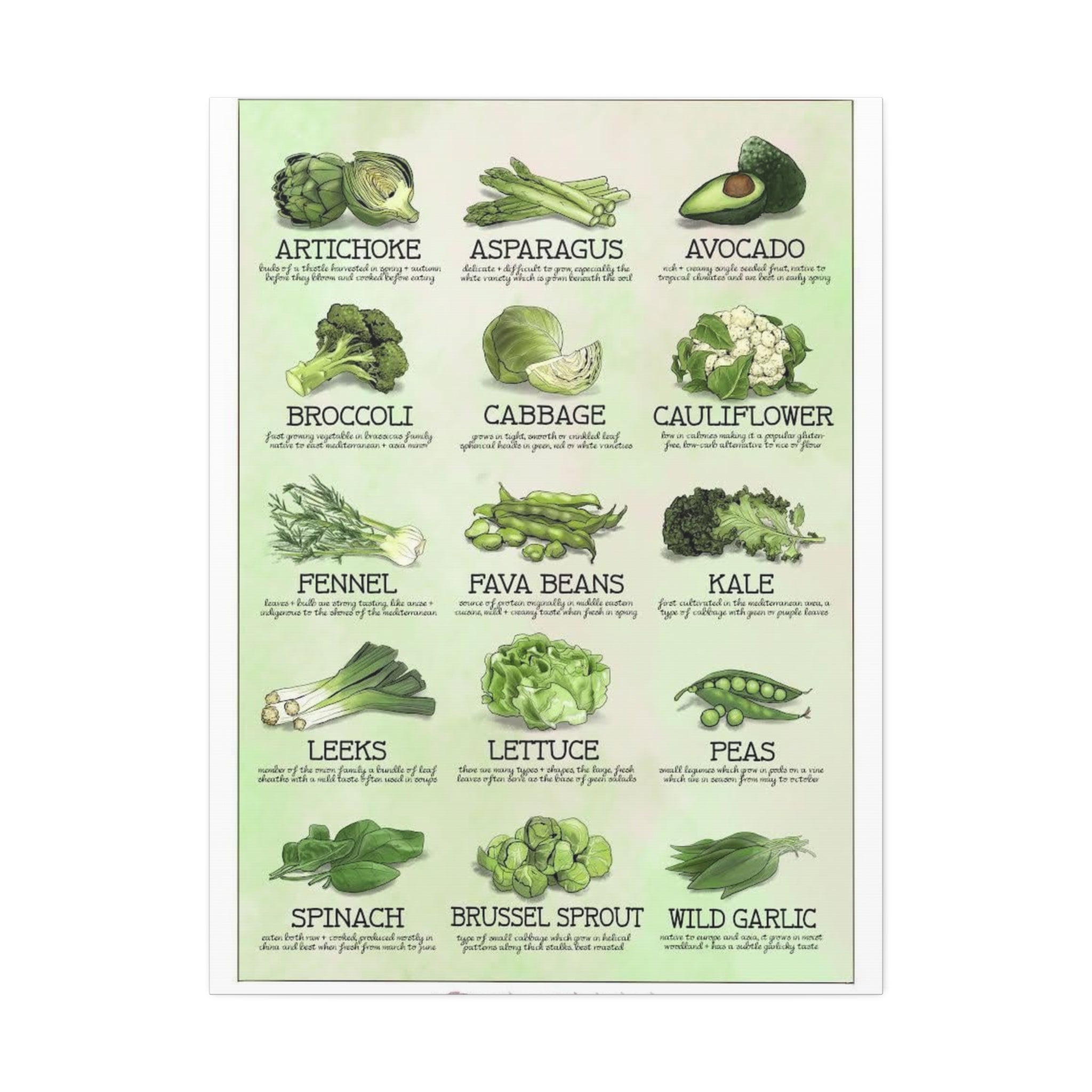 Green Vegetables Poster, Healthy Green Vegetable Identification Chart Educational Kitchen Wall Art Canvas Print
