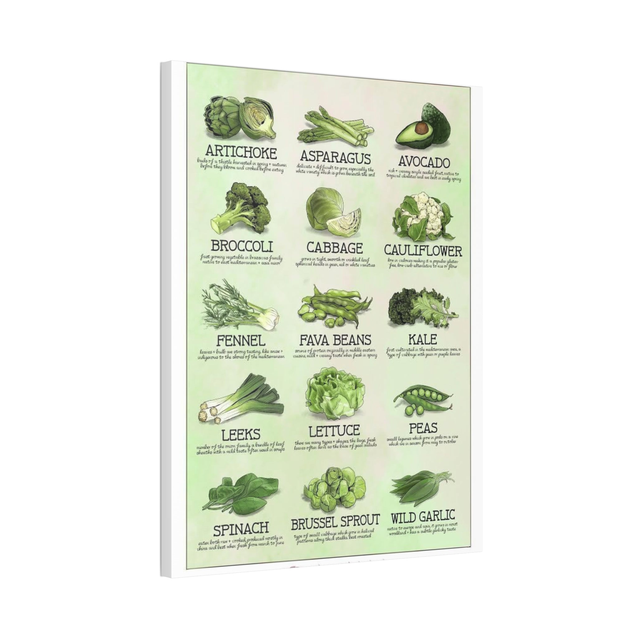 Green Vegetables Poster, Healthy Green Vegetable Identification Chart Educational Kitchen Wall Art Canvas Print