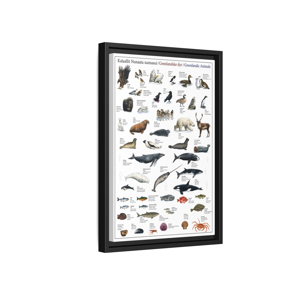 Greenlandic Animals Identification Chart Poster and Canvas