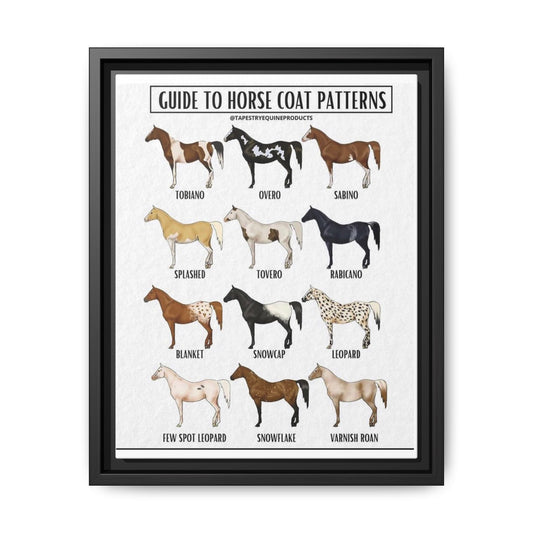 Guide To Horse Coat Patterns Tobiano Overo Sabino Vertical Poster