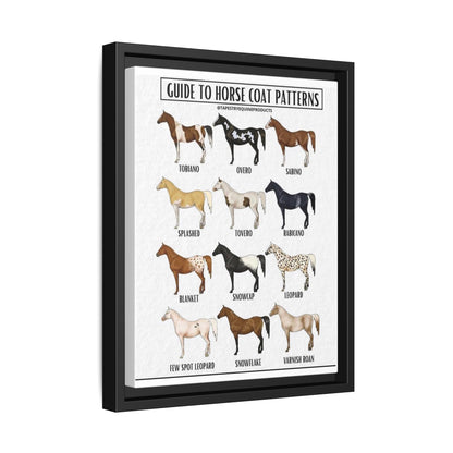 Guide To Horse Coat Patterns Tobiano Overo Sabino Vertical Poster