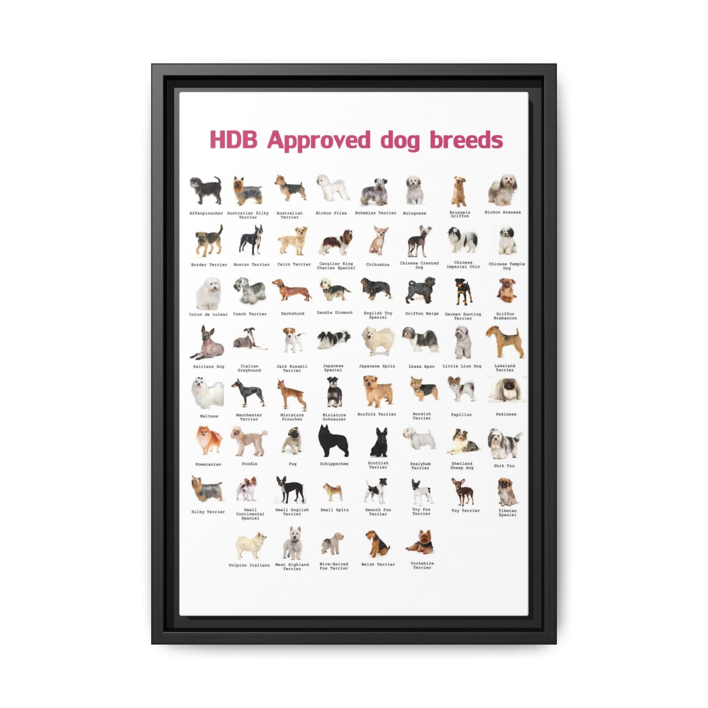 HDB Approved Dog Breeds Poster, Dog Breeds Identification Guide Vertical Poster