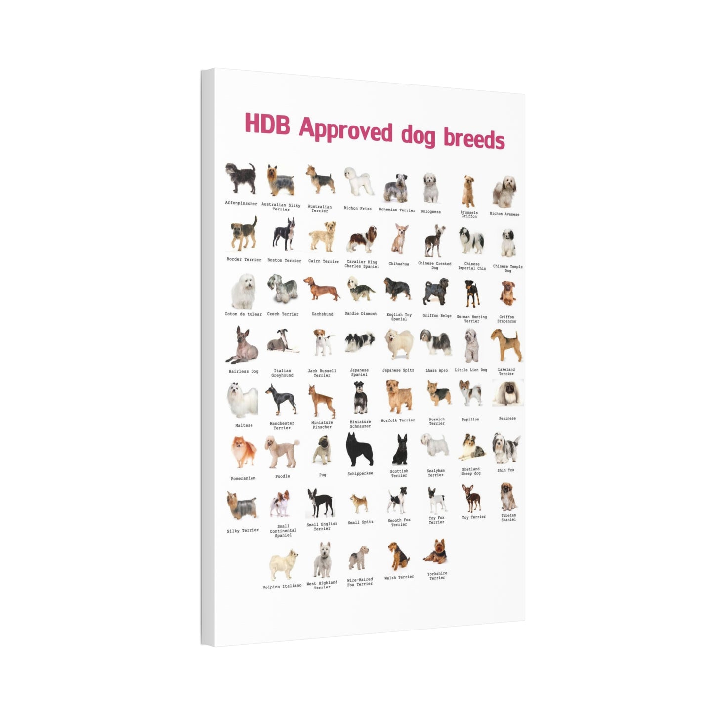 HDB Approved Dog Breeds Poster, Dog Breeds Identification Guide Vertical Poster