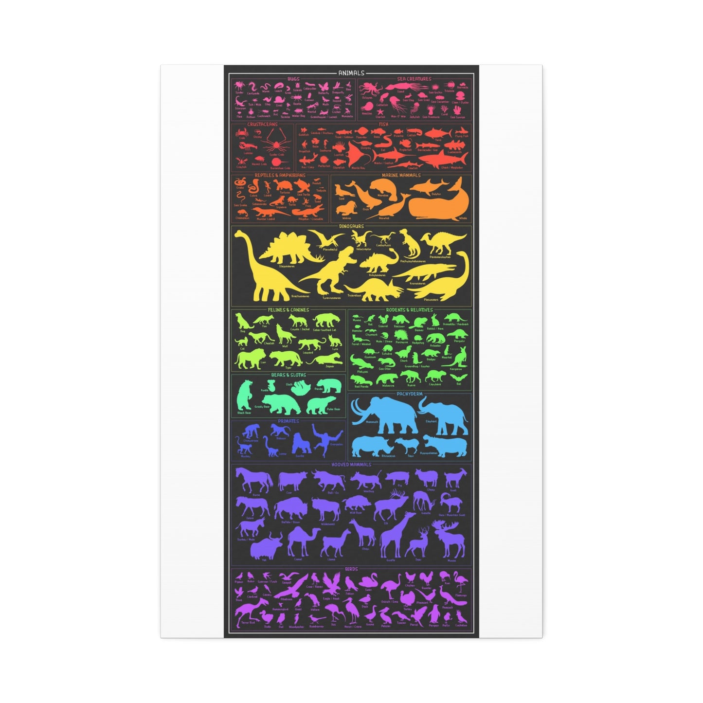 Handy Dandy Animal Cheat Sheet Poster, Animal Species Guide Vertical Poster