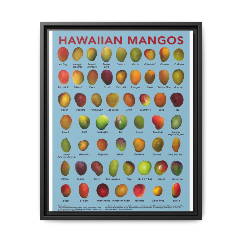 Hawaiian Mangos Variety Guide Vertical Poster and Canvas