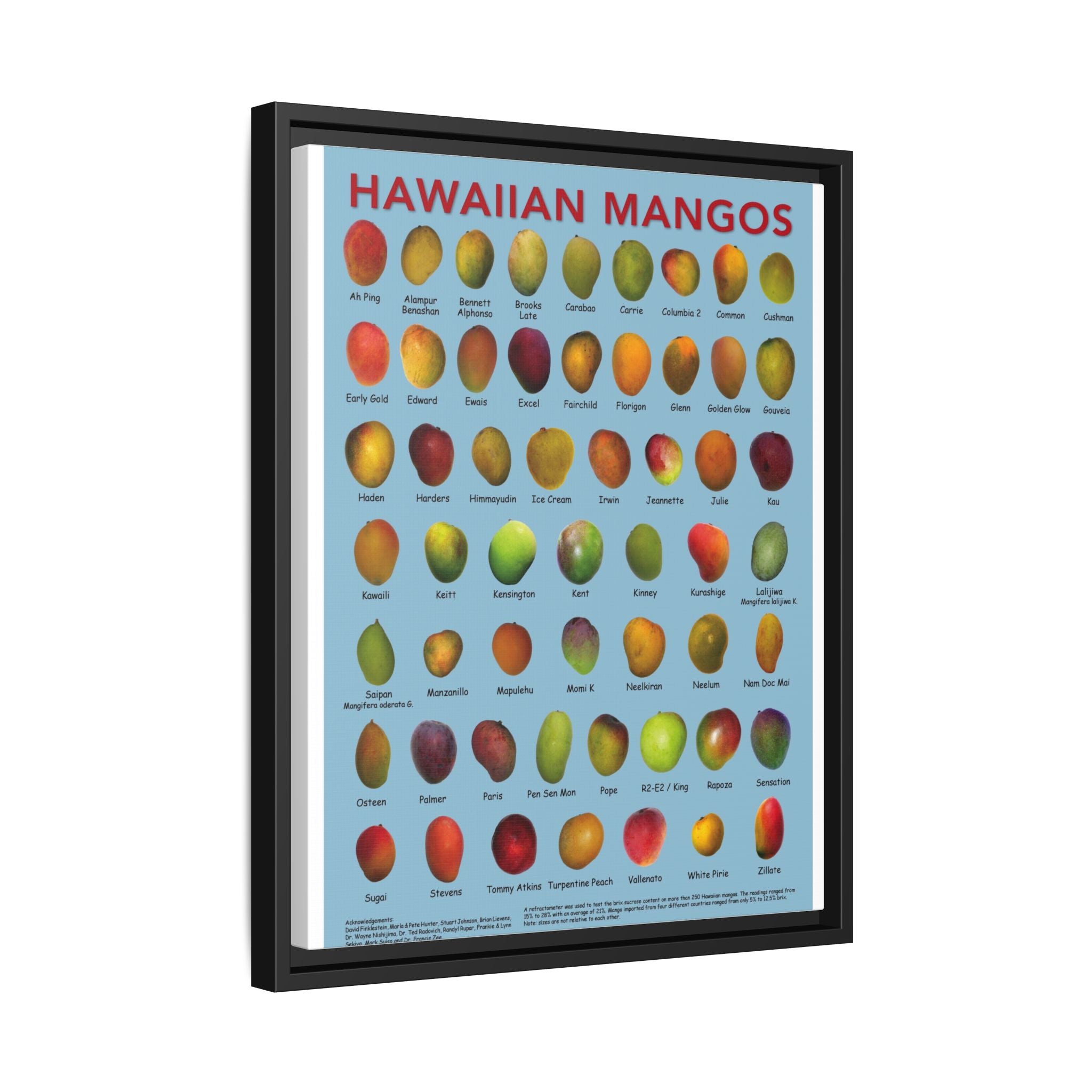 Hawaiian Mangos Variety Guide Vertical Poster and Canvas