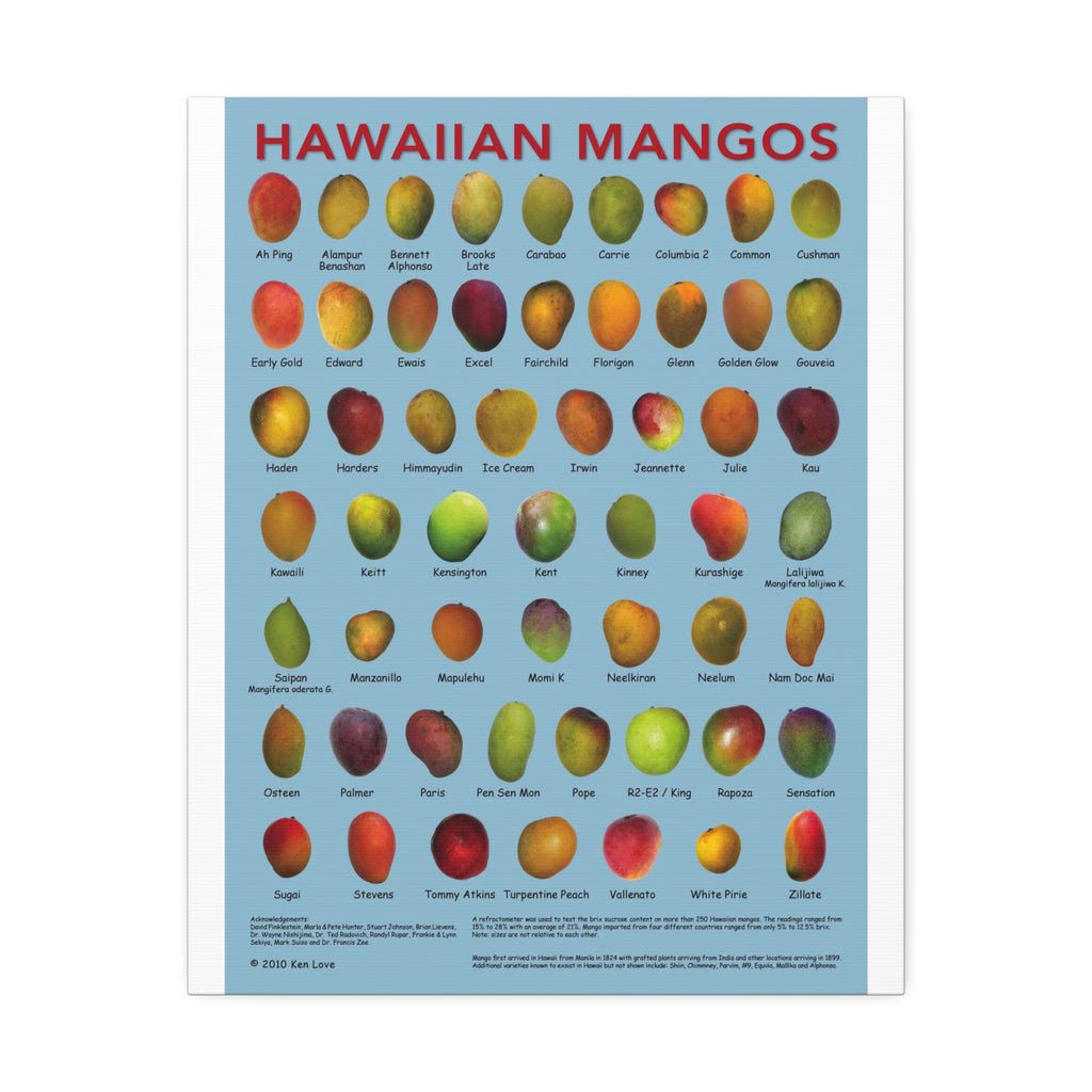 Hawaiian Mangos Variety Guide Vertical Poster and Canvas