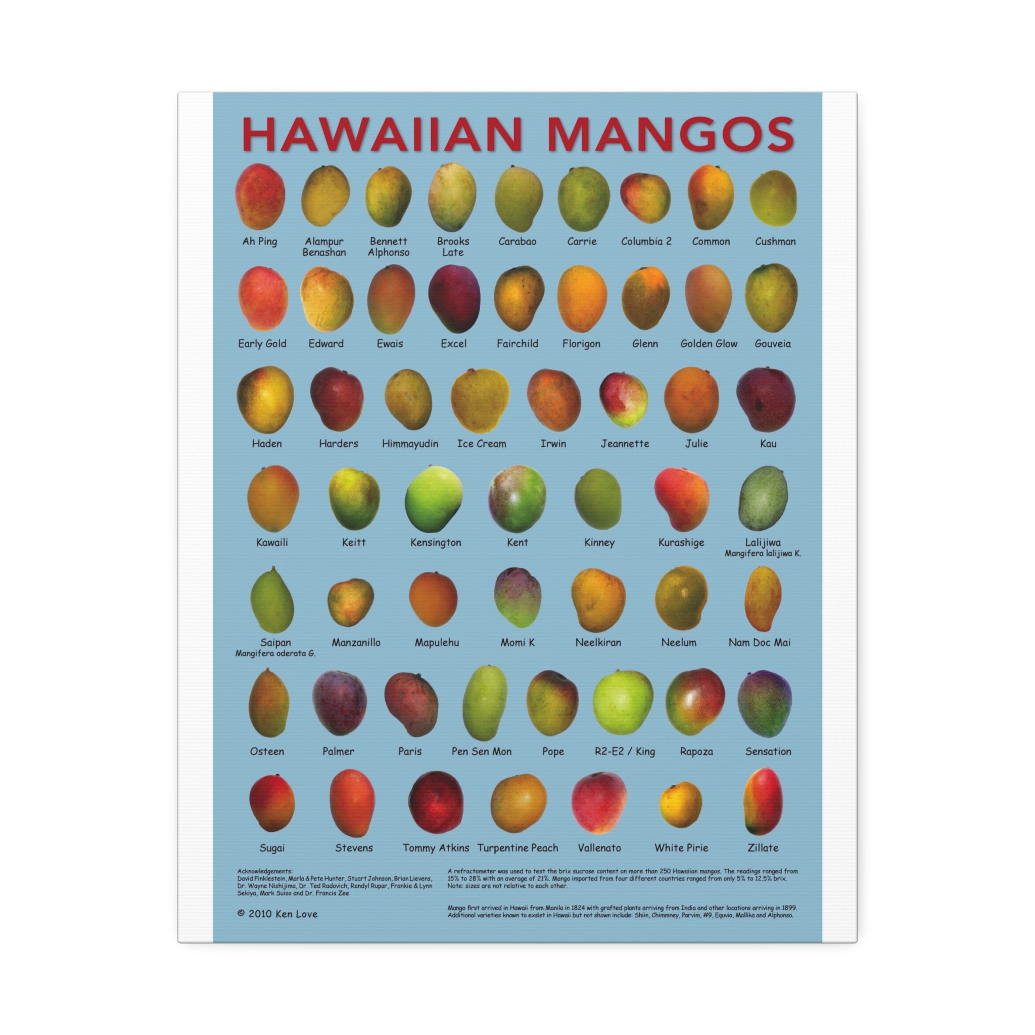 Hawaiian Mangos Variety Guide Vertical Poster and Canvas