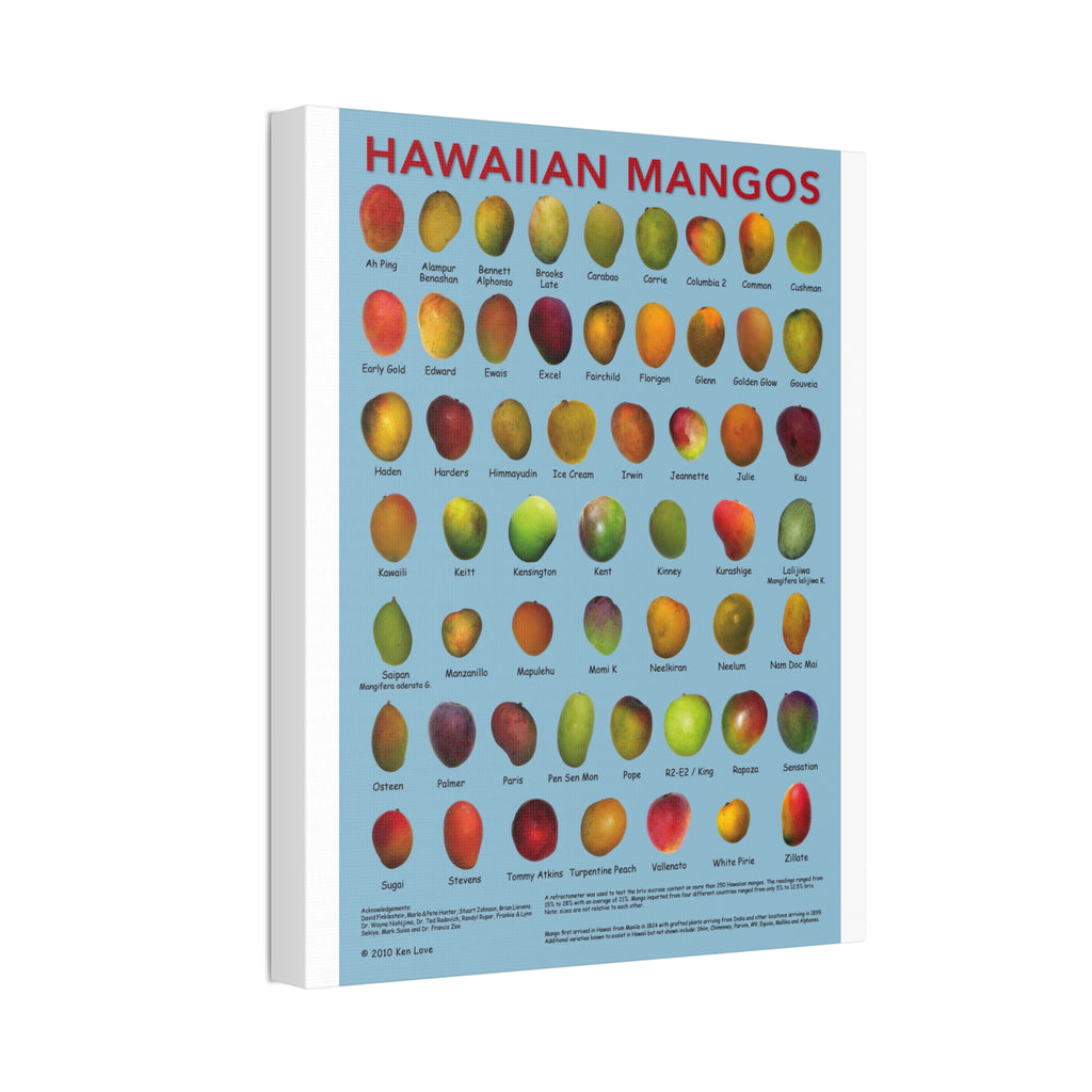 Hawaiian Mangos Variety Guide Vertical Poster and Canvas