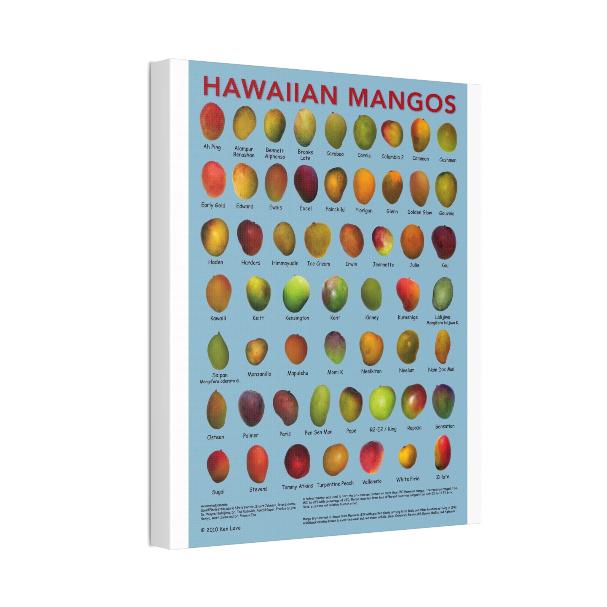 Hawaiian Mangos Variety Guide Vertical Poster and Canvas