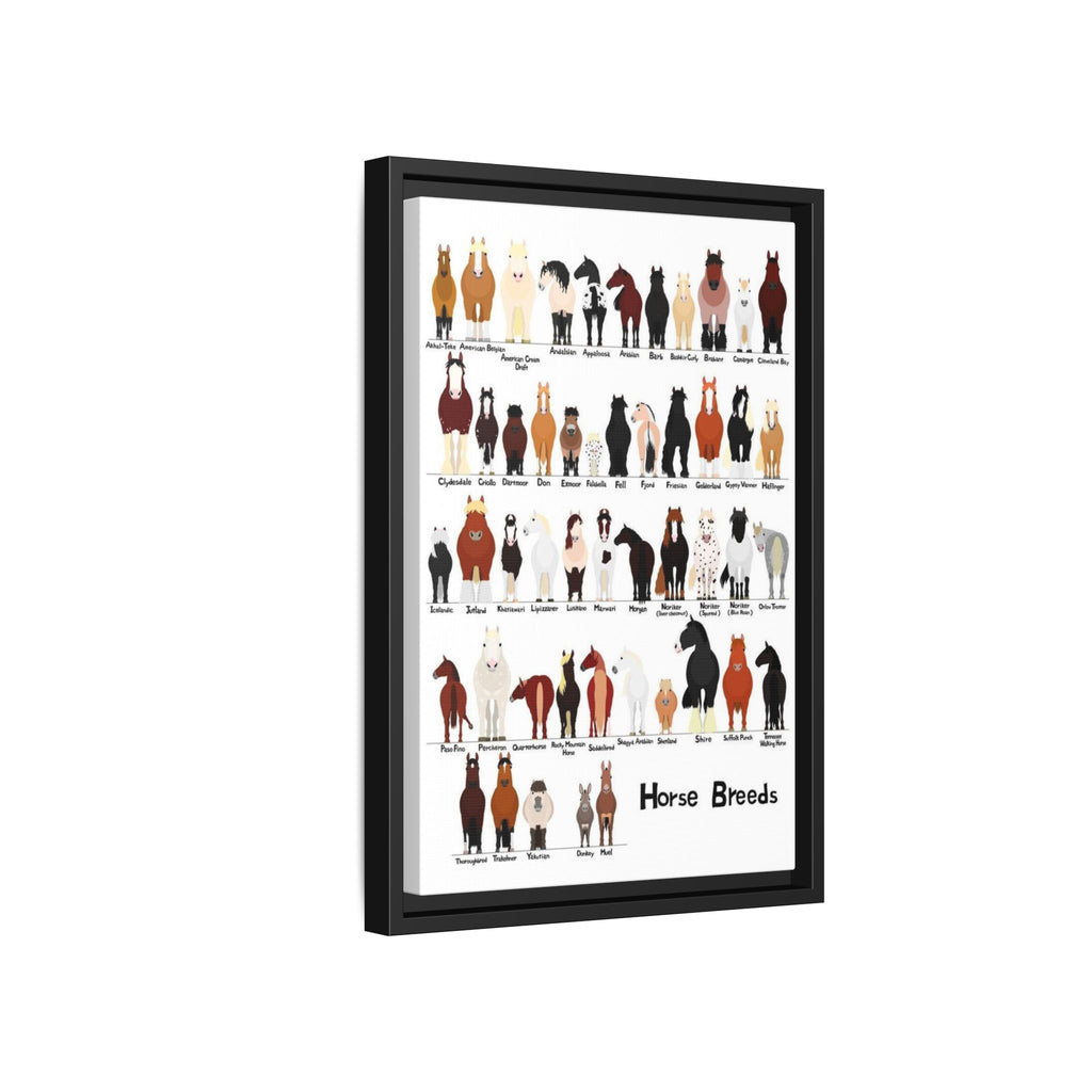 Horse Breeds Poster, Types of Horse Breeds Chart, Horse Identification Guide, Equine Breeds Educational Print, Farm Animal Wall Art, Equestrian Gift, Horse Lover Decor