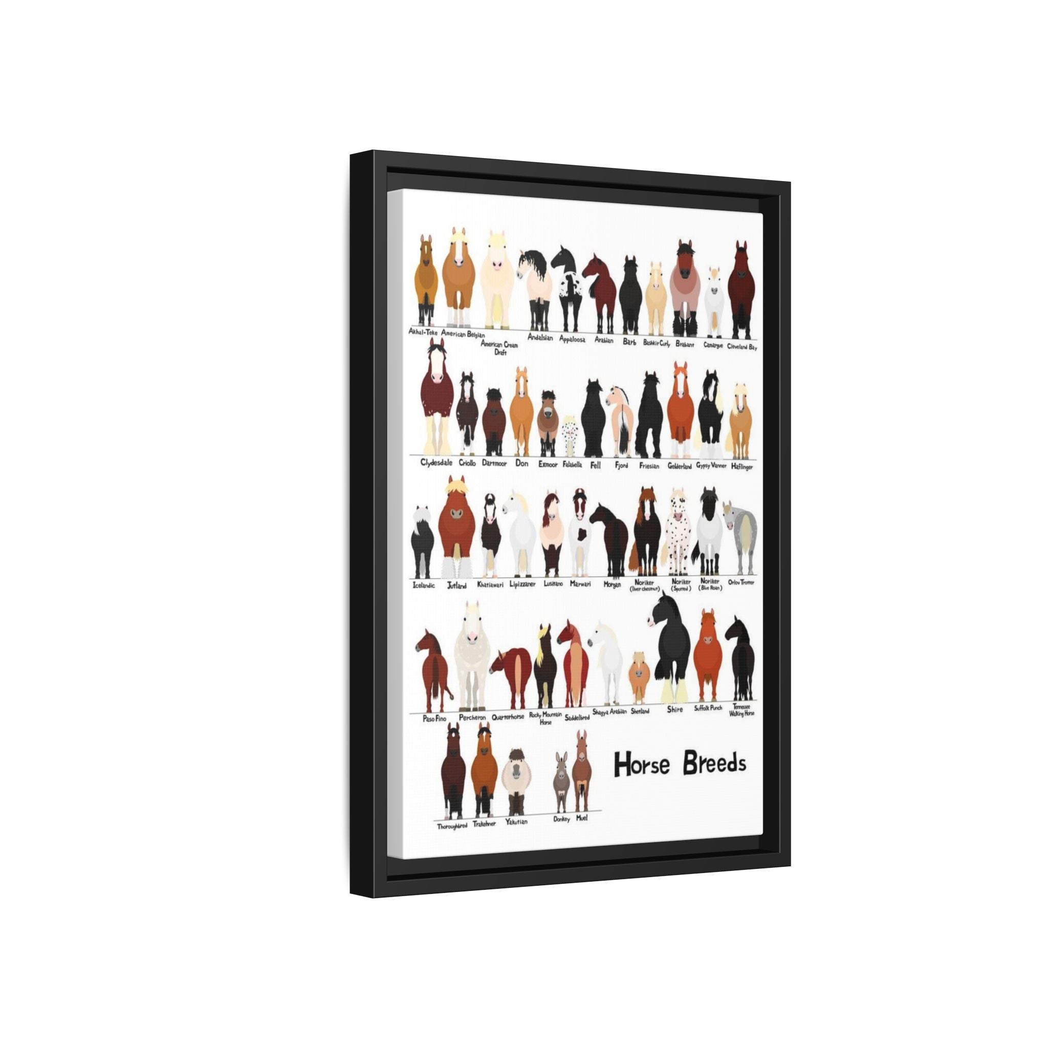 Horse Breeds Poster, Types of Horse Breeds Chart, Horse Identification Guide, Equine Breeds Educational Print, Farm Animal Wall Art, Equestrian Gift, Horse Lover Decor