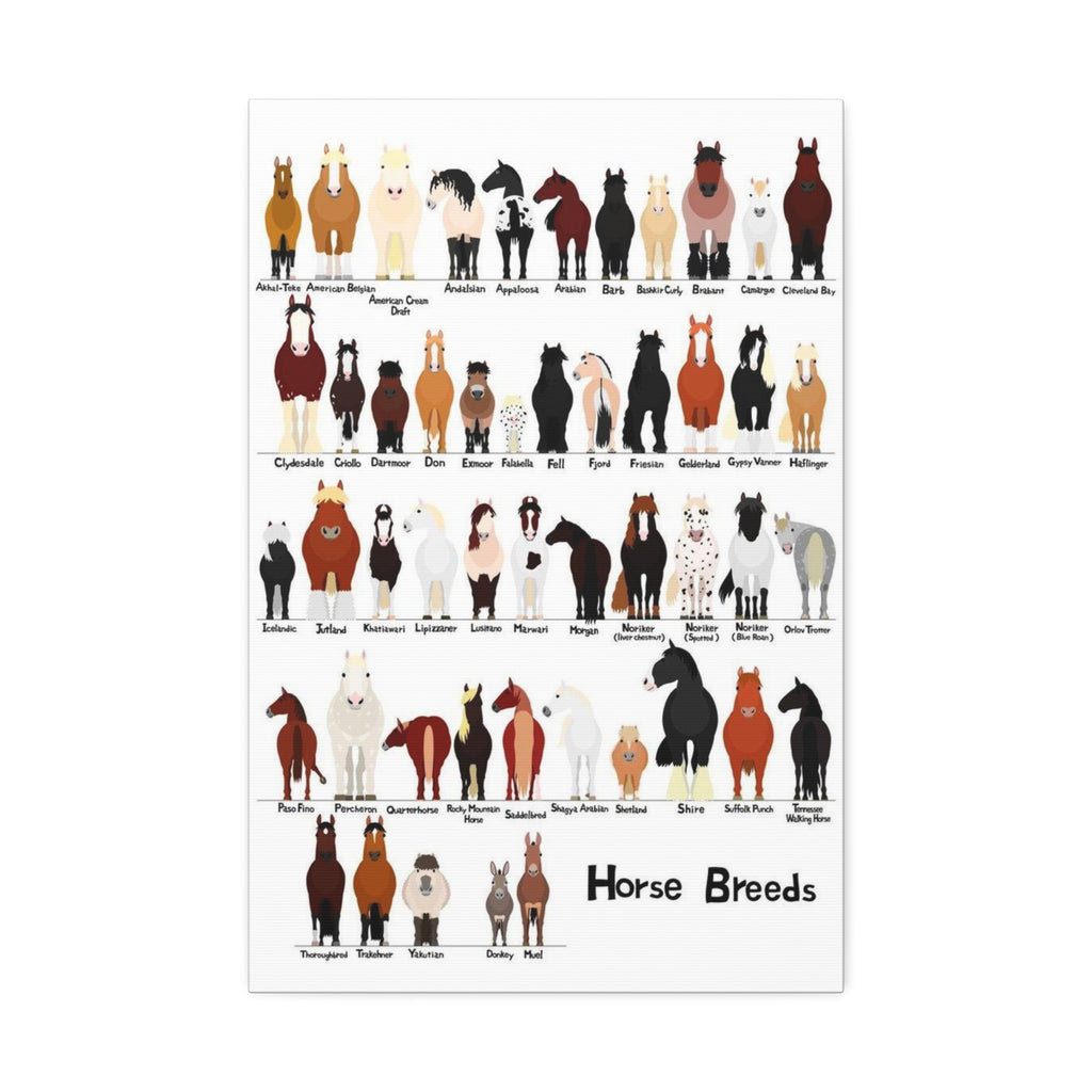 Horse Breeds Poster, Types of Horse Breeds Chart, Horse Identification Guide, Equine Breeds Educational Print, Farm Animal Wall Art, Equestrian Gift, Horse Lover Decor