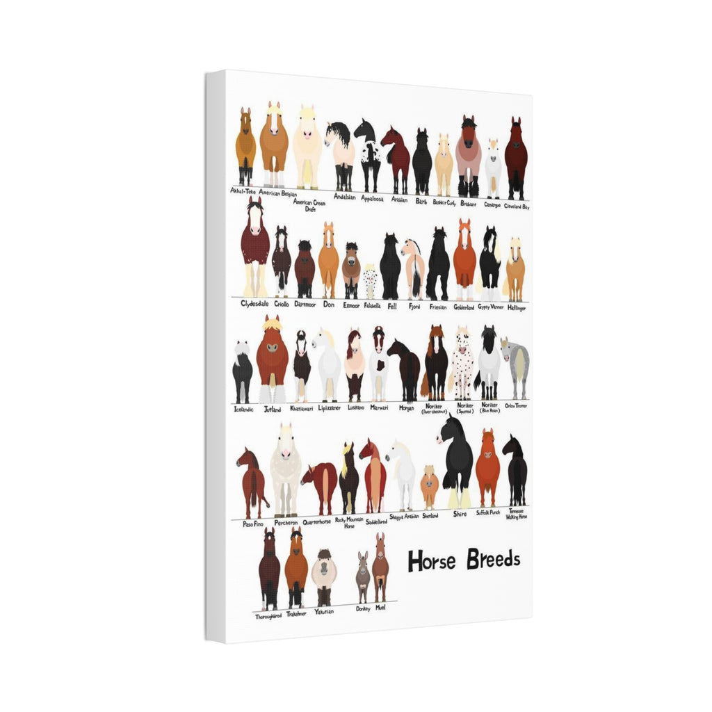 Horse Breeds Poster, Types of Horse Breeds Chart, Horse Identification Guide, Equine Breeds Educational Print, Farm Animal Wall Art, Equestrian Gift, Horse Lover Decor