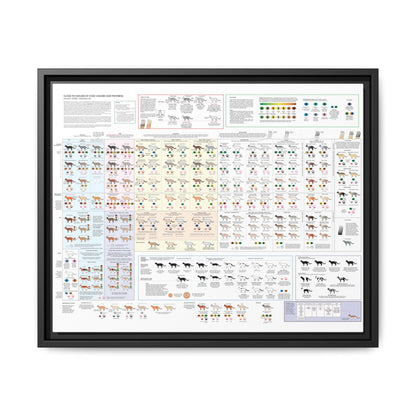Housecat Coat Colors & Patterns Guide Poster, Cat Coat Color Identification Horizontal Poster
