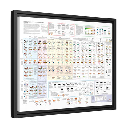 Housecat Coat Colors & Patterns Guide Poster, Cat Coat Color Identification Horizontal Poster