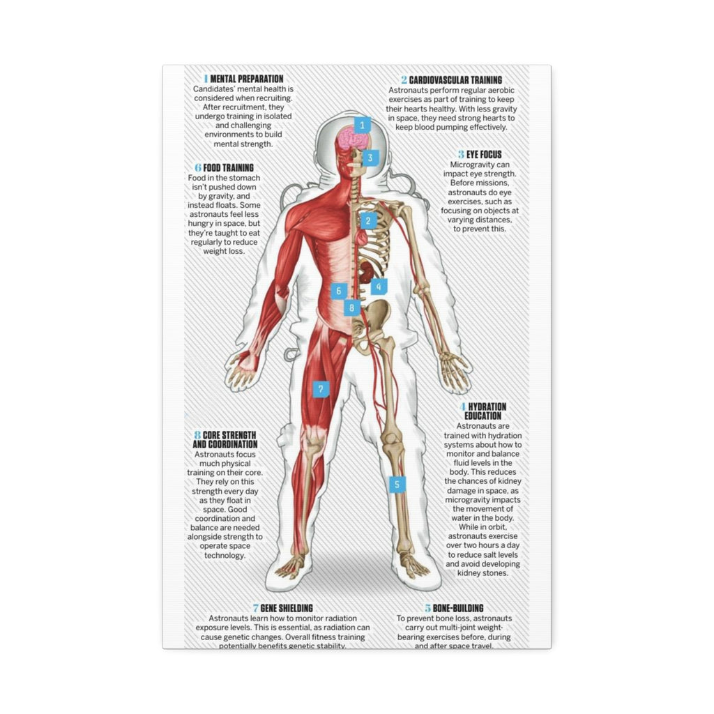 How Astronauts Prepare for Space Poster, Astronaut Body Training Guide, Space Mission Health and Fitness Infographic, Educational Science Canvas Print