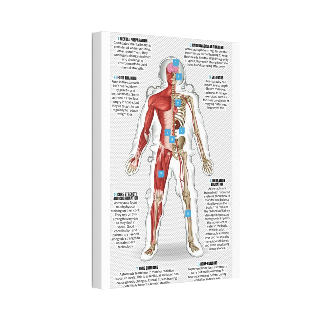 How Astronauts Prepare for Space Poster, Astronaut Body Training Guide, Space Mission Health and Fitness Infographic, Educational Science Canvas Print