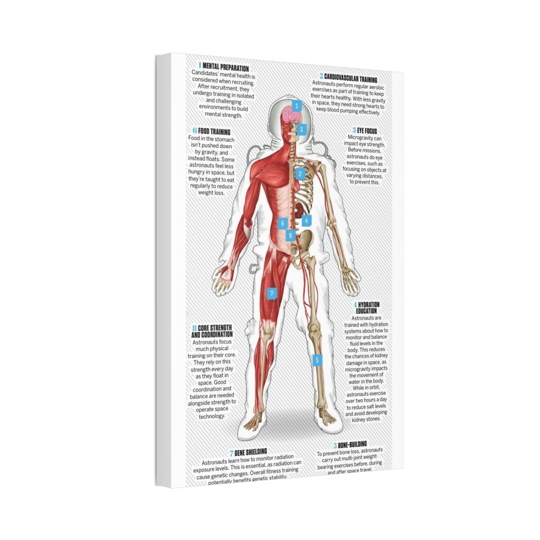 How Astronauts Prepare for Space Poster, Astronaut Body Training Guide, Space Mission Health and Fitness Infographic, Educational Science Canvas Print