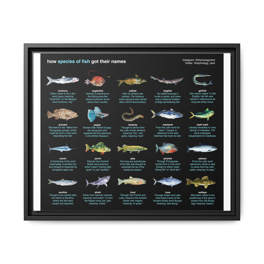 How Fish Species Got Their Names Poster, Fish Etymology Guide Horizontal Poster