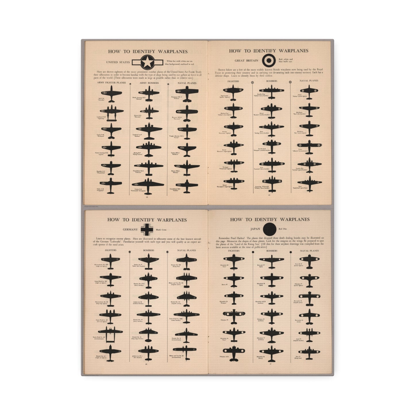 How to Identify Warplanes Vertical Poster and Canvas