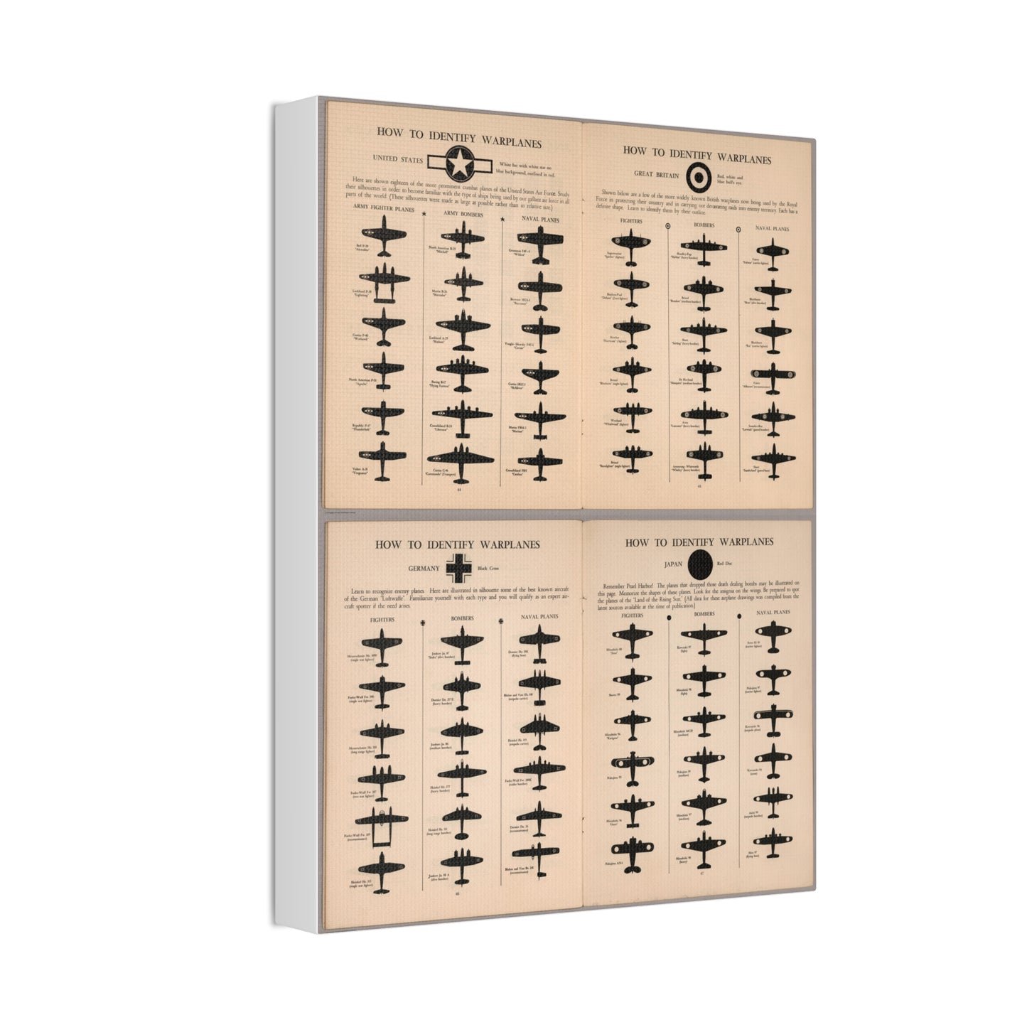 How to Identify Warplanes Vertical Poster and Canvas