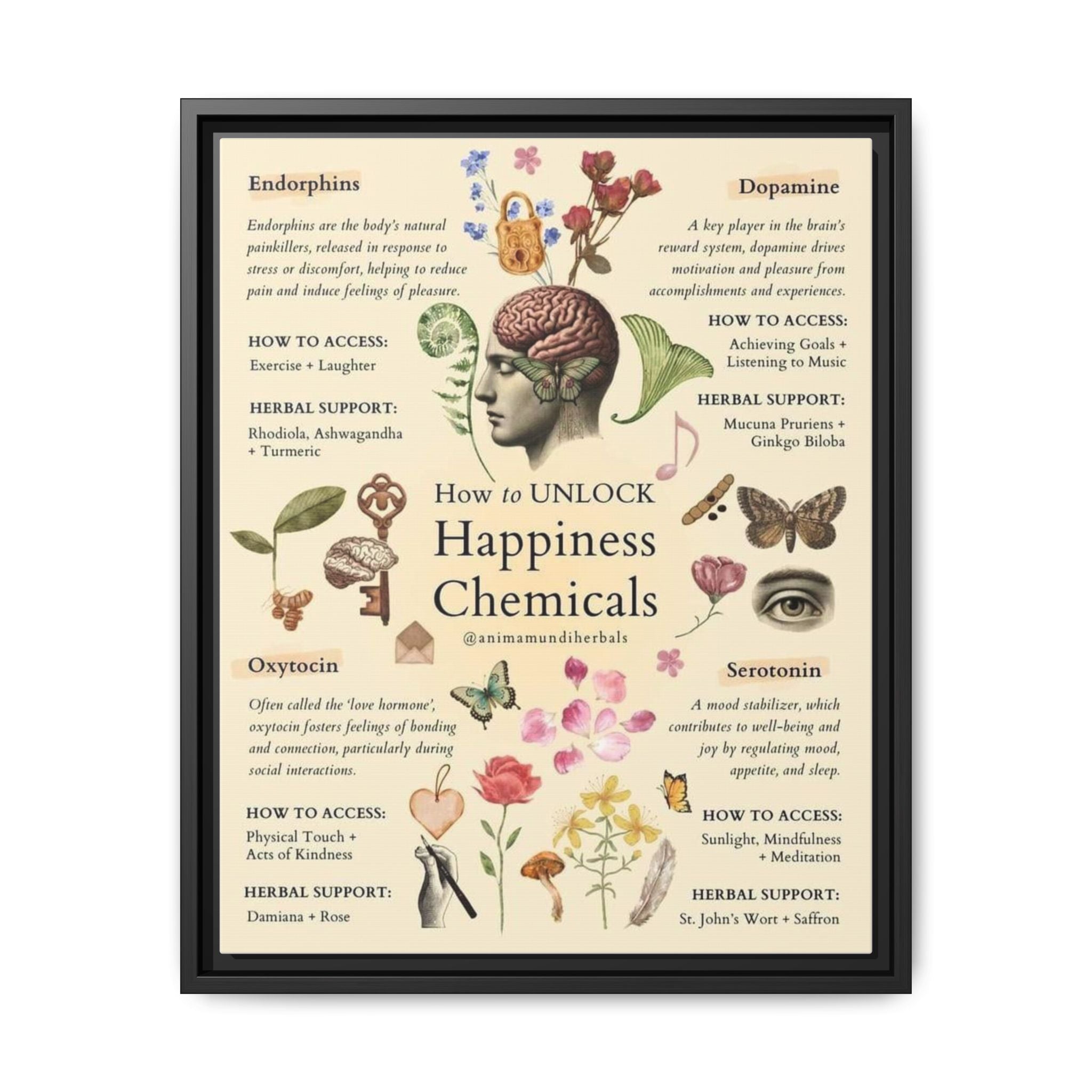 How to Unlock Happiness Chemicals Vertical Poster and Canvas