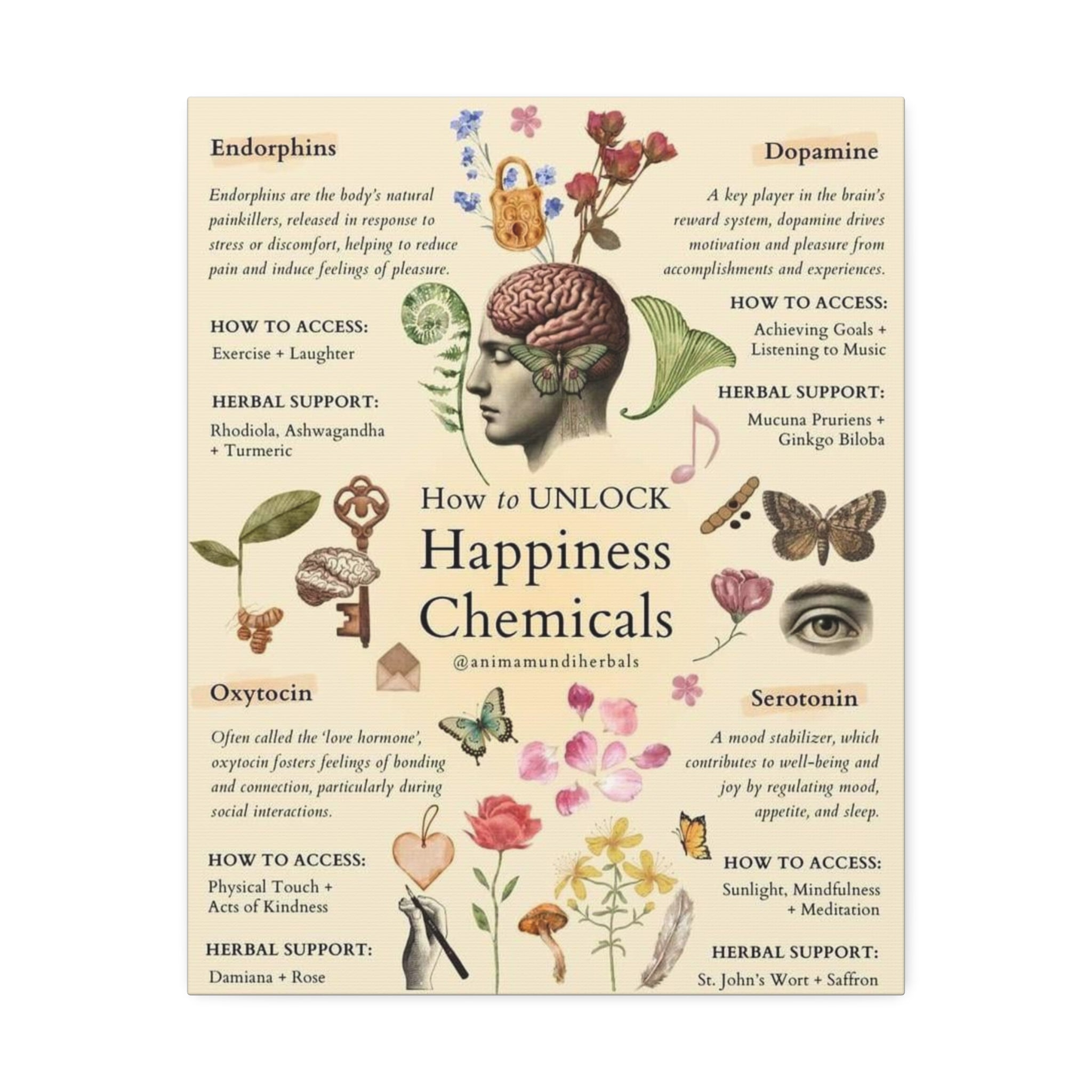 How to Unlock Happiness Chemicals Vertical Poster and Canvas