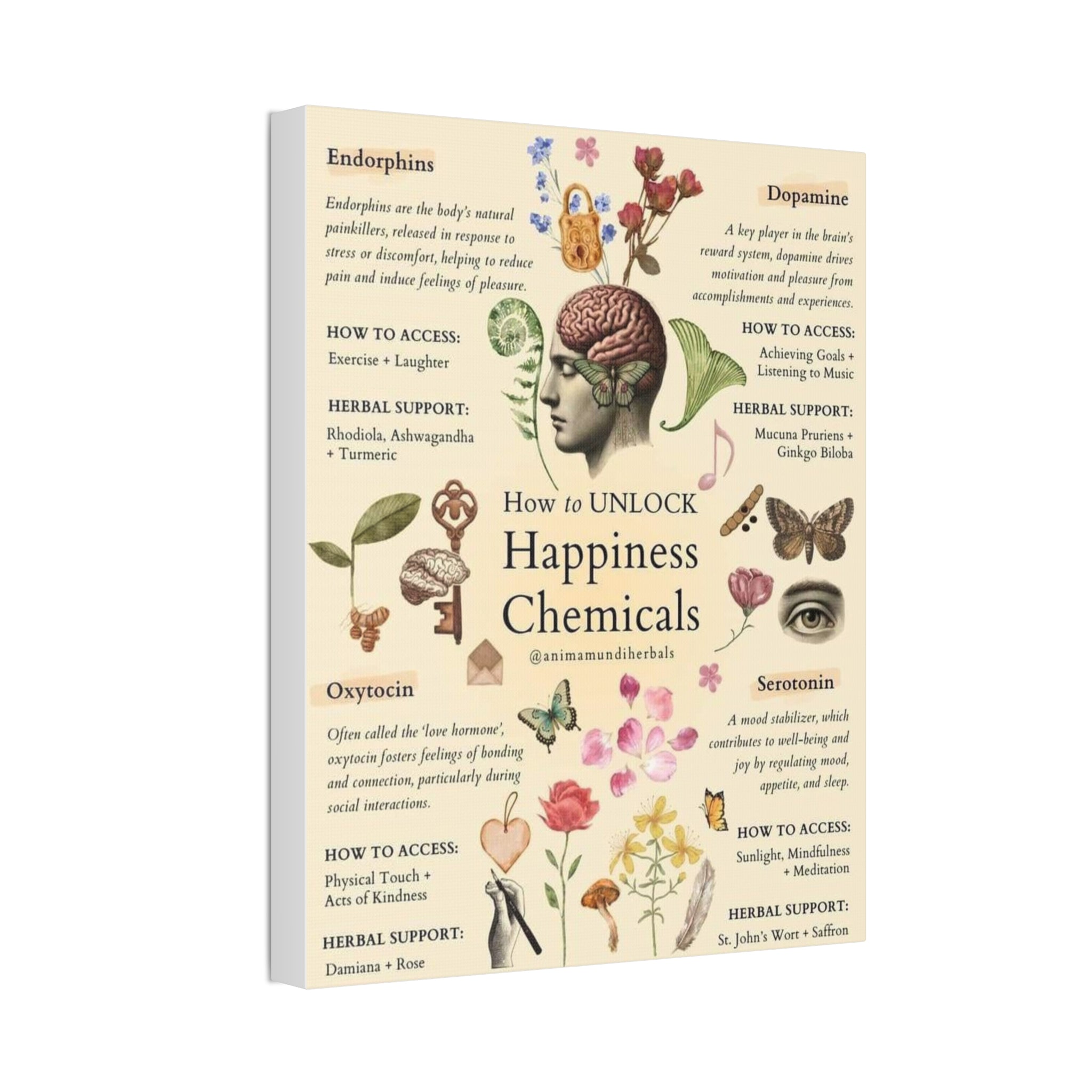 How to Unlock Happiness Chemicals Vertical Poster and Canvas