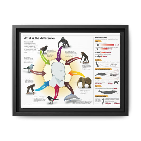 Human And Animals Comparison Poster, Wildlife Science Guide Vertical Poster