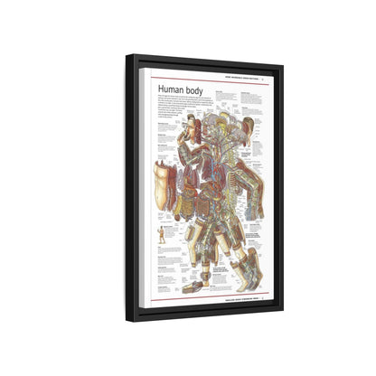 Human Body Anatomy Guide Poster, Human Anatomy Cross Section Vertical Poster