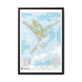 Hummingbird Family Tree Map Poster, Trochilidae Evolution Chart Print, Hummingbird Species Identification Wall Art, Bird Lover Gift