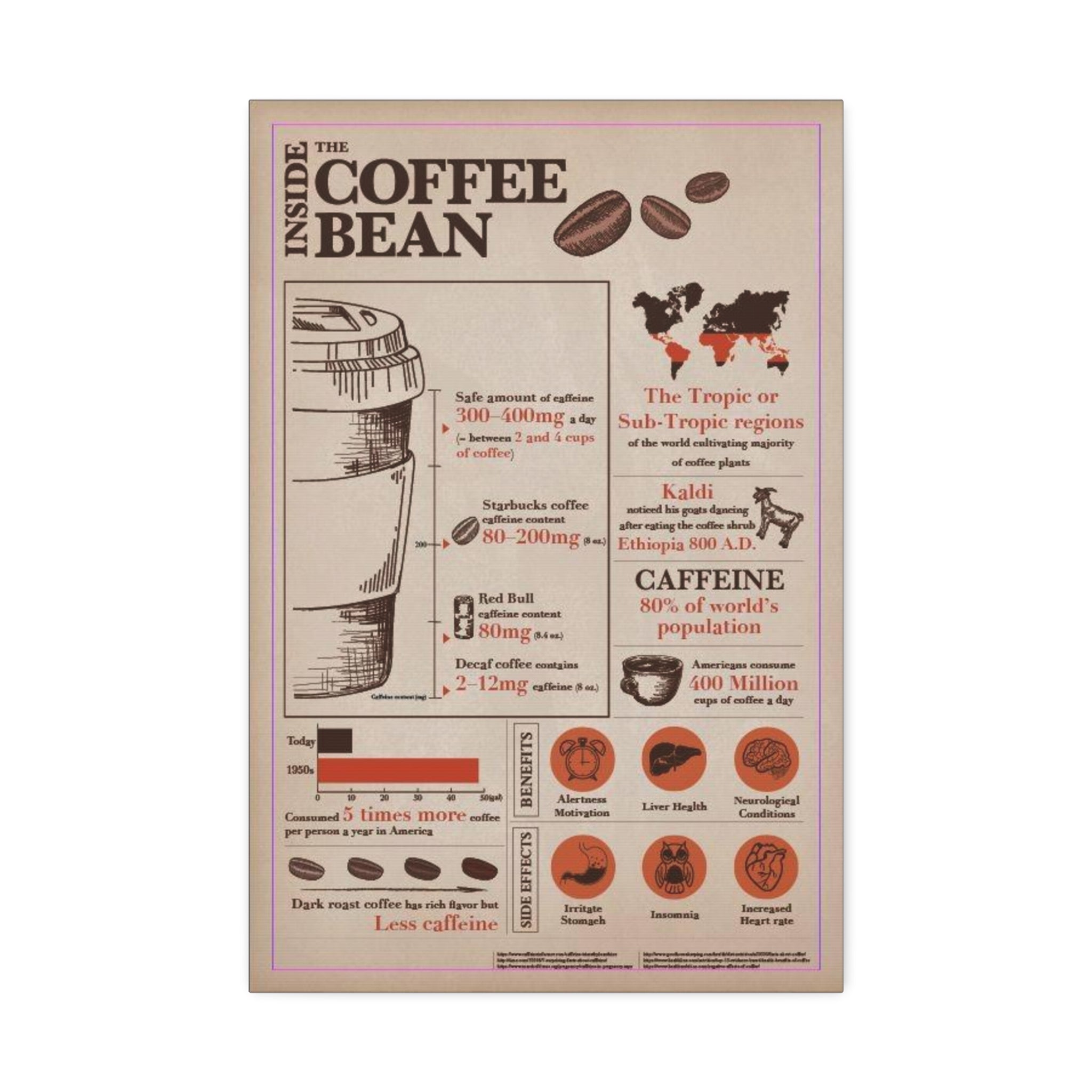 Inside the Coffee Bean Coffee Bean Guide Vertical Poster and Canvas